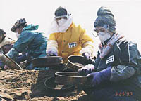 北陸ナホトカ重油流出事故のサムネイル画像