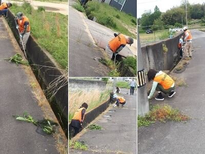 SeRV香川　清掃ボランティアのサムネイル画像