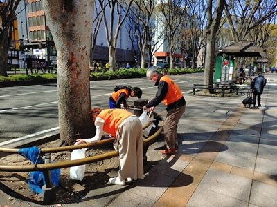 SeRV宮城　定禅寺通り清掃のサムネイル画像