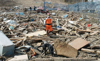 東日本大震災での救助活動（2011年3月） 写真